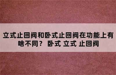 立式止回阀和卧式止回阀在功能上有啥不同？ 卧式 立式 止回阀